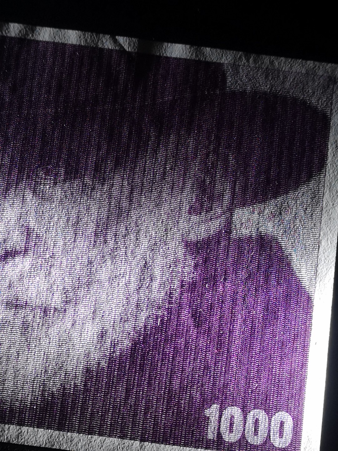 《外钞收藏家》第二百一十一期（欧洲四国精品专场） 瑞士1988年1000 法郎	P-59	大蚂蚁 全新UNC