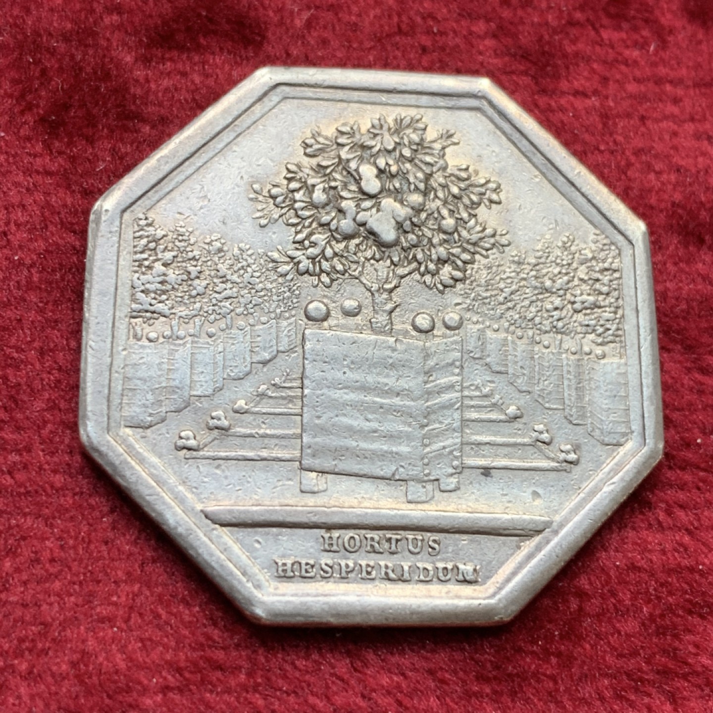 《竞宝斋》第109场-周日，周一 ，周四3场连拍（全场包邮） 法国早期园艺农业八角银制代币  重量：12g  直径：32mm  边铭：无   这枚八角代币内容为橘园中的橘树，橙色的橘子被法国人称为“金苹果”。