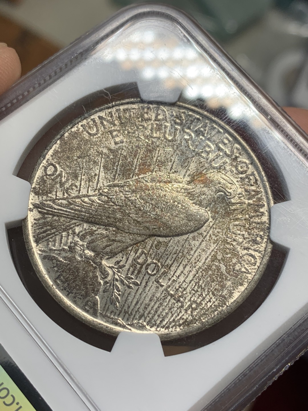 《竞宝斋》第109场-周日，周一 ，周四3场连拍（全场包邮） NGC-MS63 美国 1923年 和平银币 女神面黑彩 背黑金彩 和平彩少见 黑彩几乎不见