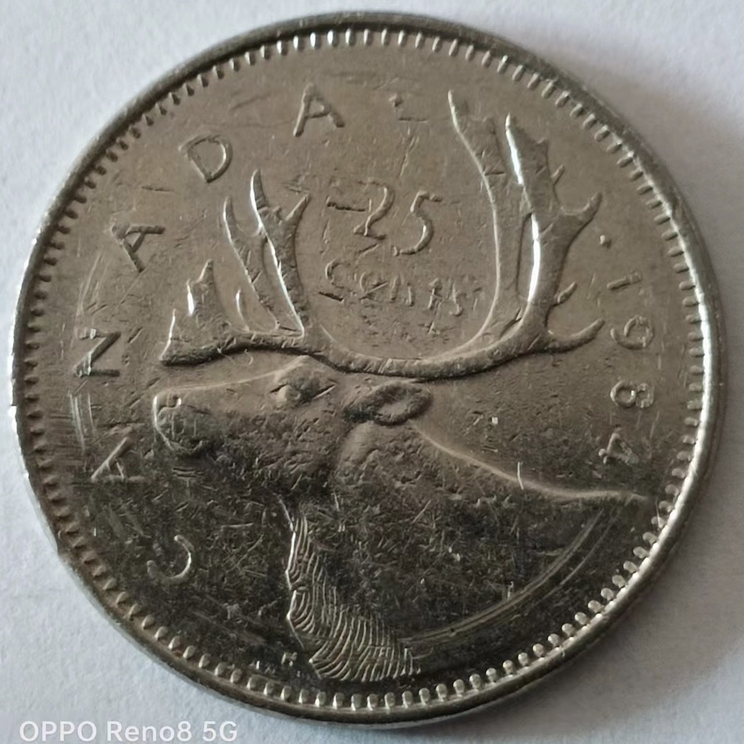 泡泡堂第128期  世界硬币专场（无押金，无佣金，捡漏，全场20包邮，偏远地区除外） 加拿大25分青年版