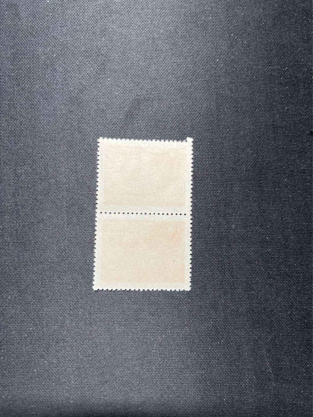 洪涛臻品 精选邮票限时拍卖第六十四期 1949年进军图2连，上品，进军图纸张薄，多数都有折痕。版撕票，边有折，会处理的这都不是问题，注意捡漏