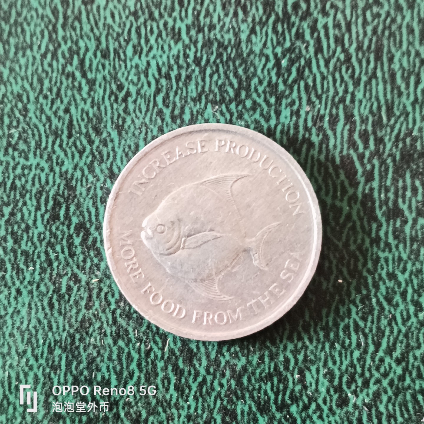 泡泡堂微拍第十二幕，零佣金，零押金，满二十元包邮 新加坡粮农五分。