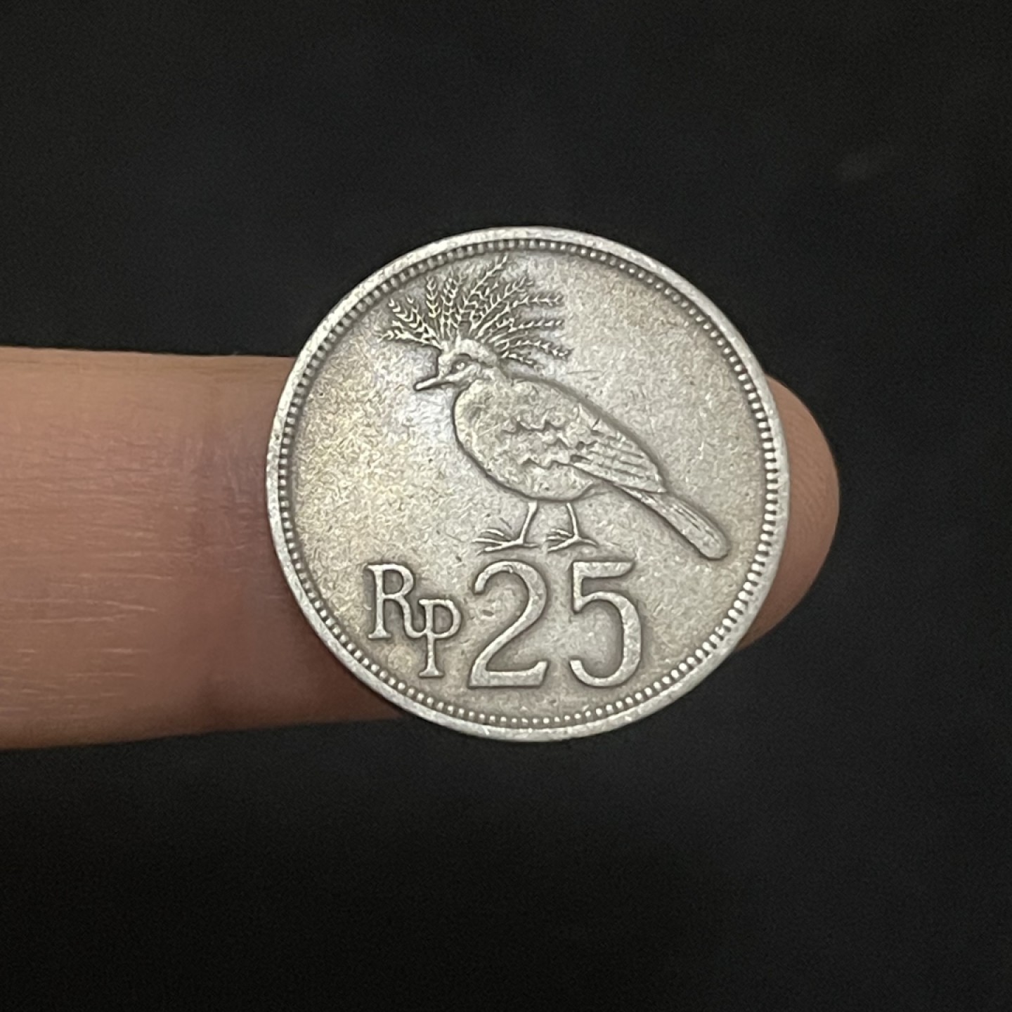 外国硬币0元起拍（15） 印度尼西亚25卢比