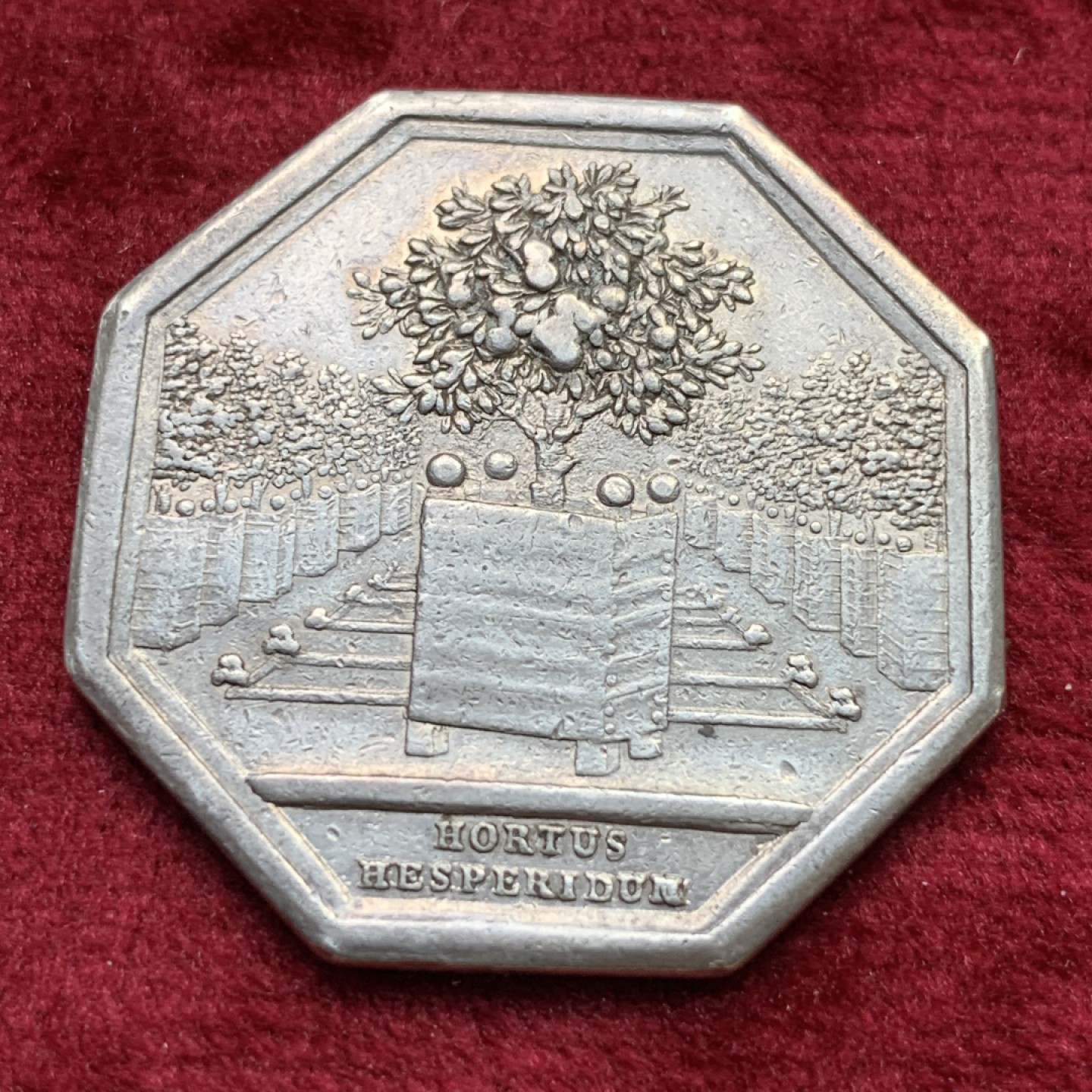 《竞宝斋》第109场-周日，周一 ，周四3场连拍（全场包邮） 法国早期园艺农业八角银制代币  重量：12g  直径：32mm  边铭：无   这枚八角代币内容为橘园中的橘树，橙色的橘子被法国人称为“金苹果”。