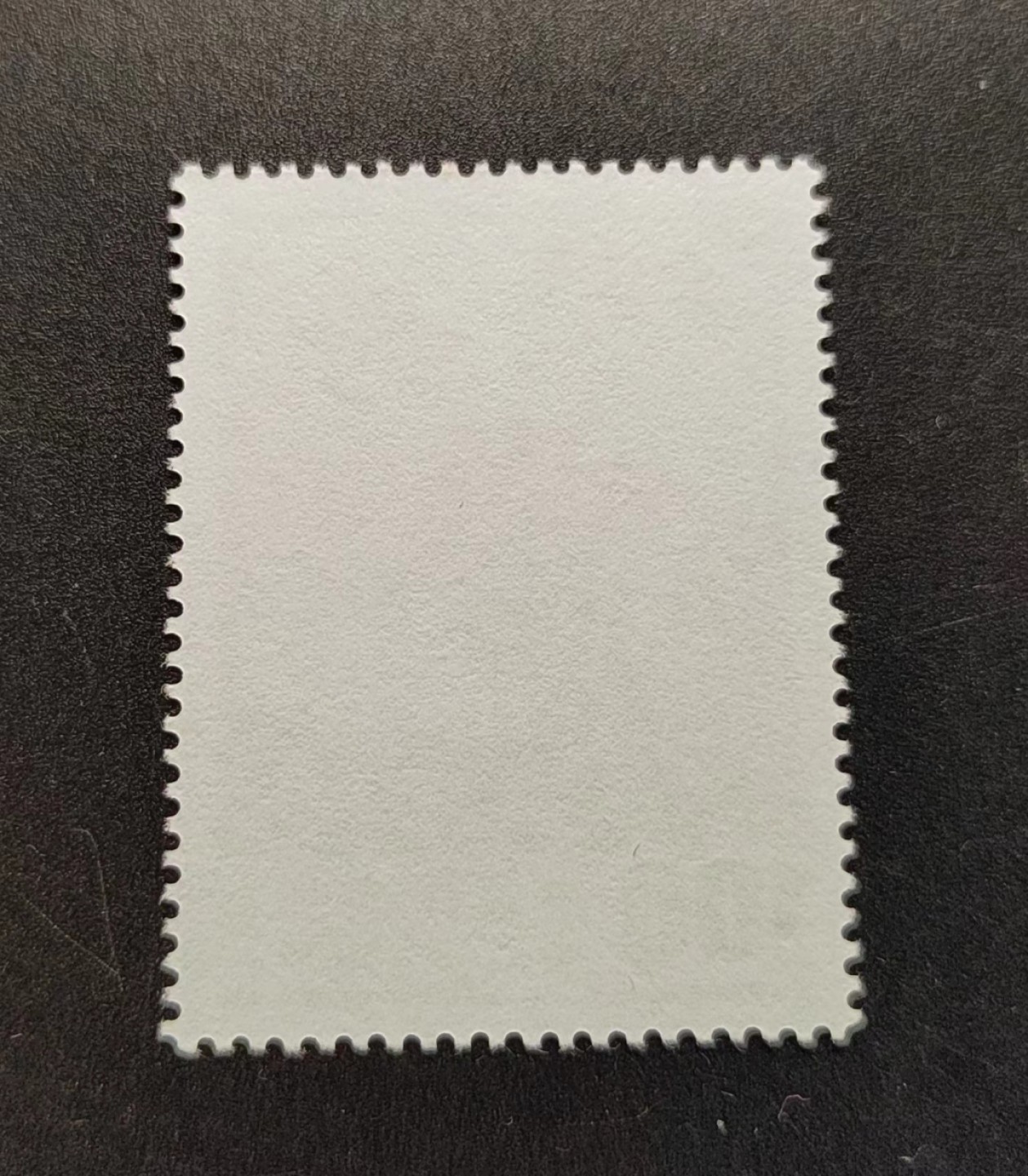 王之爱好～中外邮票 梅花邮票