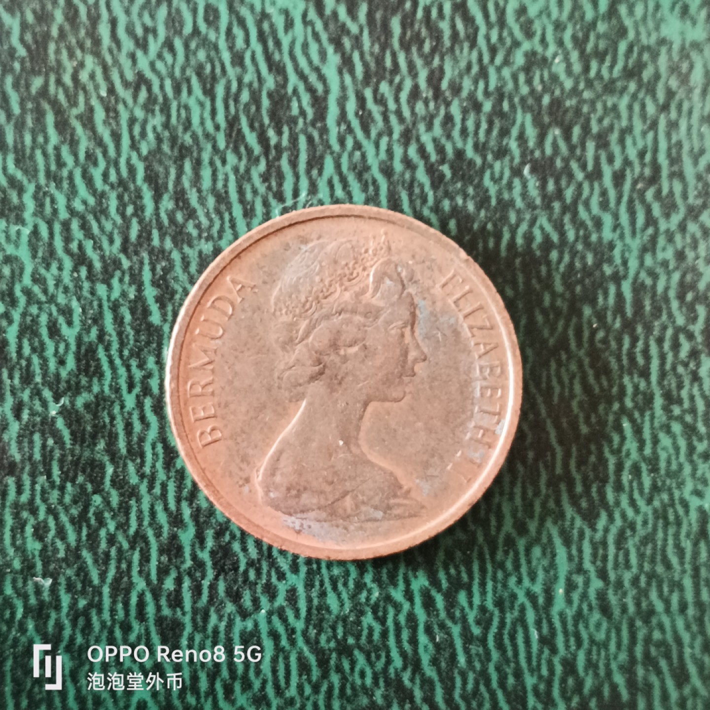 泡泡堂微拍第十二幕，零佣金，零押金，满二十元包邮 百慕大老版71年小猪