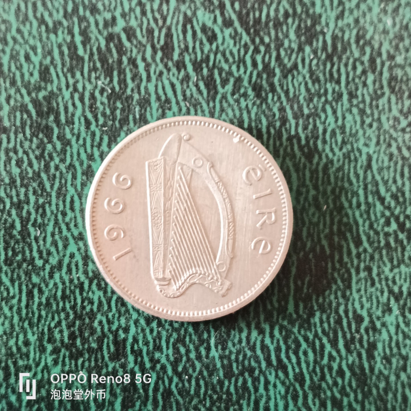 泡泡堂微拍第十二幕，零佣金，零押金，满二十元包邮 爱尔兰好品小狗6D