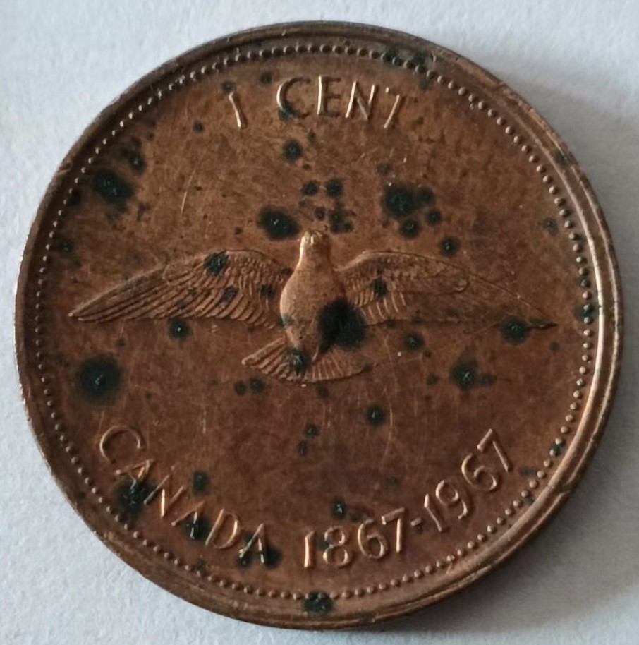 泡泡堂第128期  世界硬币专场（无押金，无佣金，捡漏，全场20包邮，偏远地区除外） 加拿大小鸟