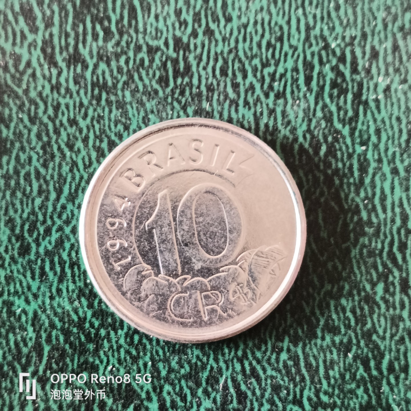 泡泡堂微拍第十二幕，零佣金，零押金，满二十元包邮 巴西十克鲁食蚁兽。