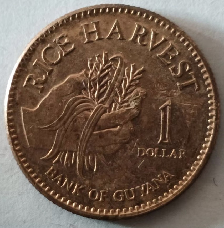 泡泡堂第128期  世界硬币专场（无押金，无佣金，捡漏，全场20包邮，偏远地区除外） 圭亚那粮农一分