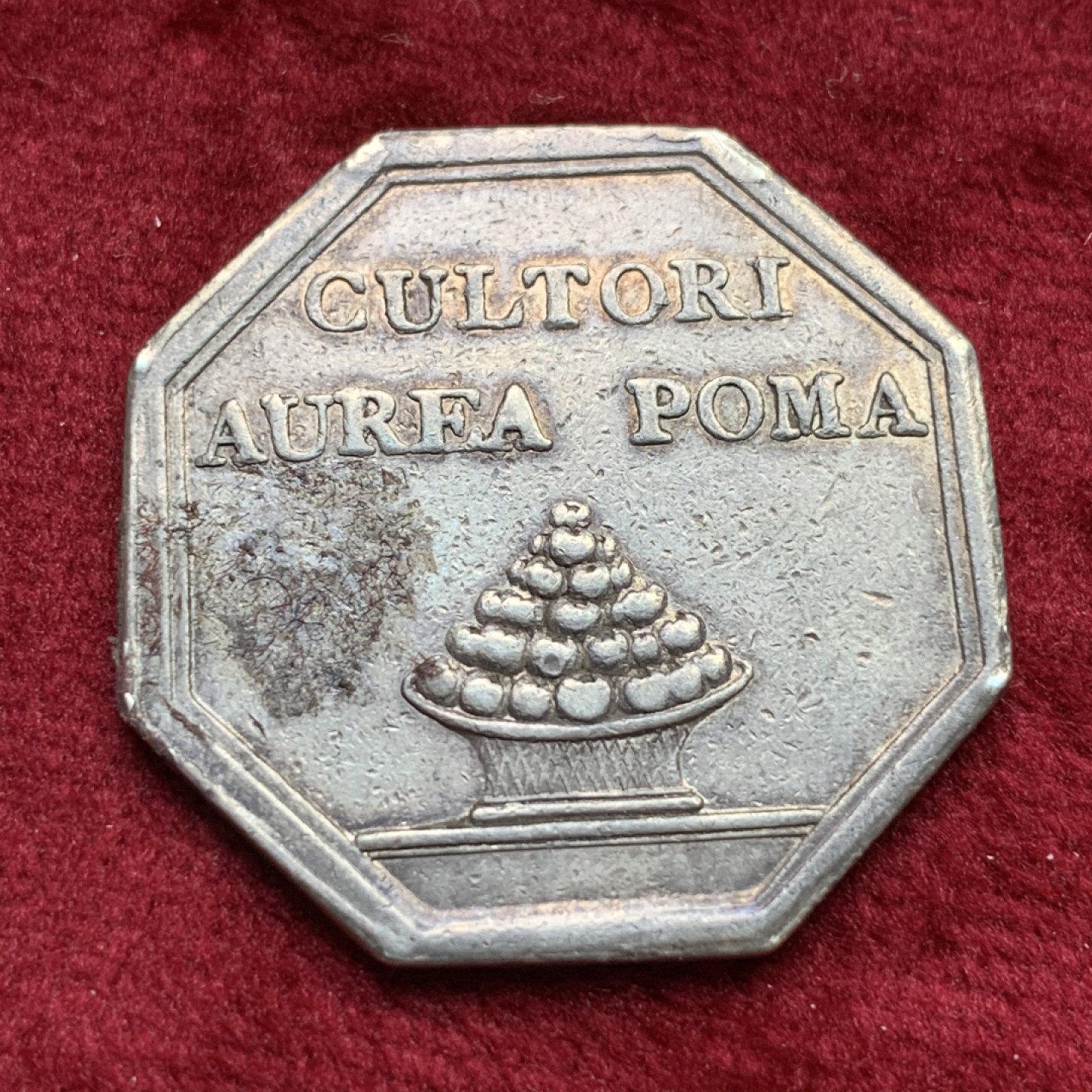 《竞宝斋》第109场-周日，周一 ，周四3场连拍（全场包邮） 法国早期园艺农业八角银制代币  重量：12g  直径：32mm  边铭：无   这枚八角代币内容为橘园中的橘树，橙色的橘子被法国人称为“金苹果”。