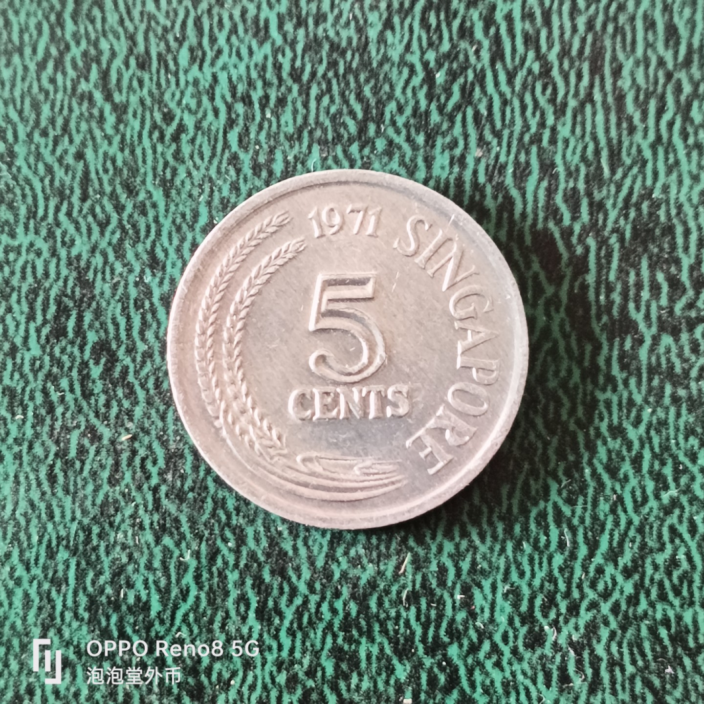 泡泡堂微拍第十二幕，零佣金，零押金，满二十元包邮 新加坡粮农五分。