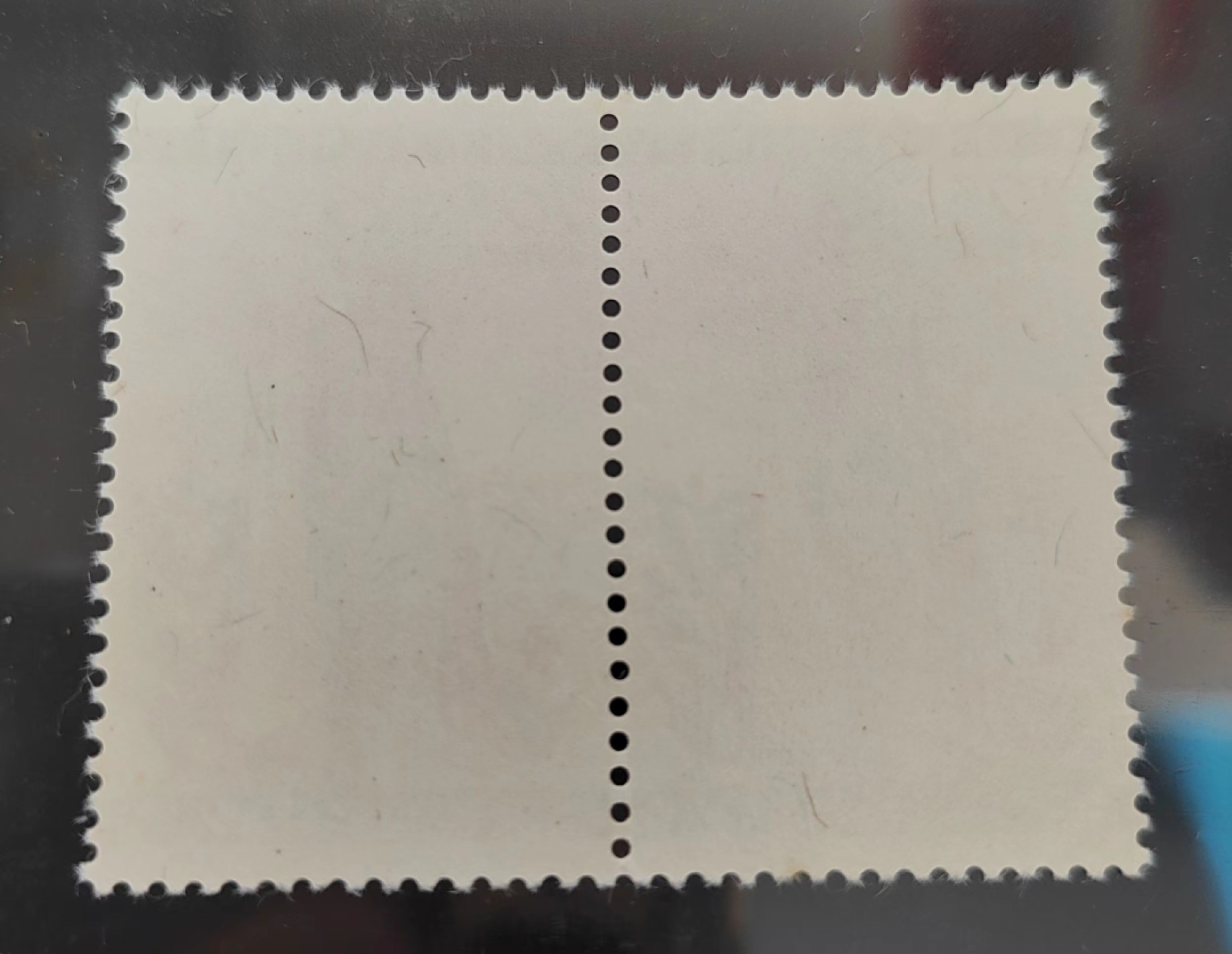 王之爱好～中外邮票 世界小姐