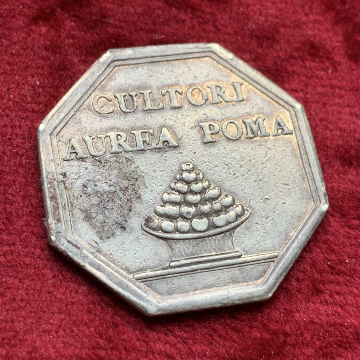 《竞宝斋》第109场-周日，周一 ，周四3场连拍（全场包邮） 法国早期园艺农业八角银制代币  重量：12g  直径：32mm  边铭：无   这枚八角代币内容为橘园中的橘树，橙色的橘子被法国人称为“金苹果”。