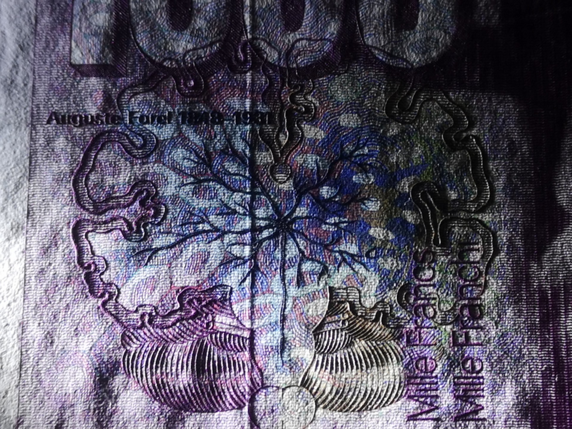 《外钞收藏家》第二百一十一期（欧洲四国精品专场） 瑞士1988年1000 法郎	P-59	大蚂蚁 全新UNC