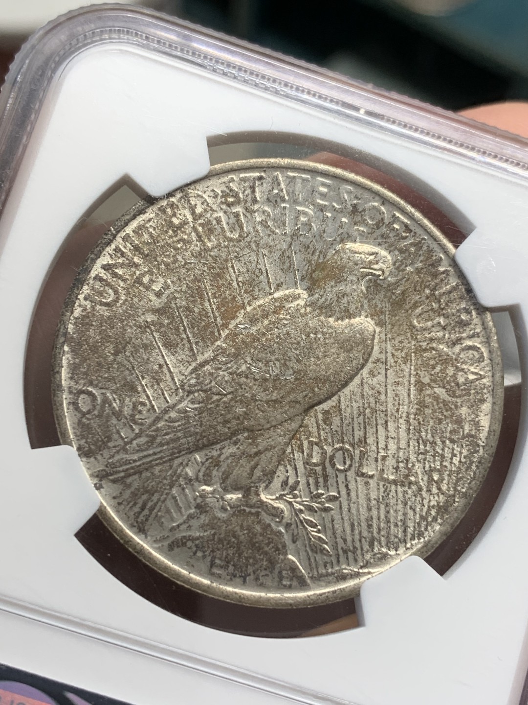 《竞宝斋》第109场-周日，周一 ，周四3场连拍（全场包邮） NGC-MS63 美国 1923年 和平银币 女神面黑彩 背黑金彩 和平彩少见 黑彩几乎不见