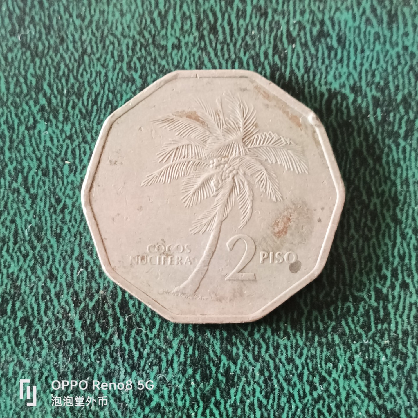 泡泡堂微拍第十二幕，零佣金，零押金，满二十元包邮 菲律宾二皮索大币椰子树。