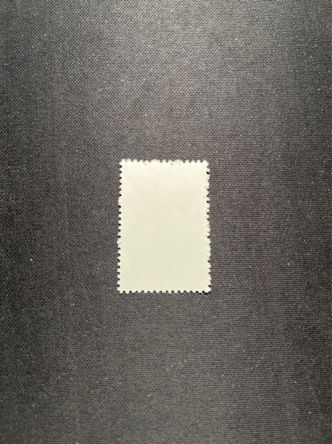 洪涛臻品 精选邮票限时拍卖第六十四期 特56蝴蝶盖销  20-8一枚，版撕全品嘎嘎绝，钢戳，面艳胶白，六珍之一，非常受欢迎的品种，新票价格高，盖销全品不要错过