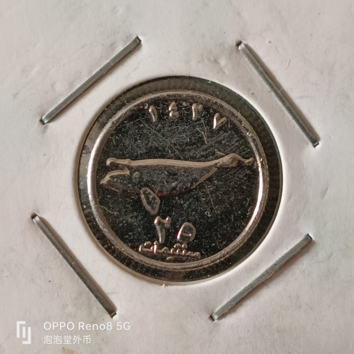 泡泡堂微拍第十三幕硬币，纸币，零佣金，零押金，满二十元包邮 卡奔达