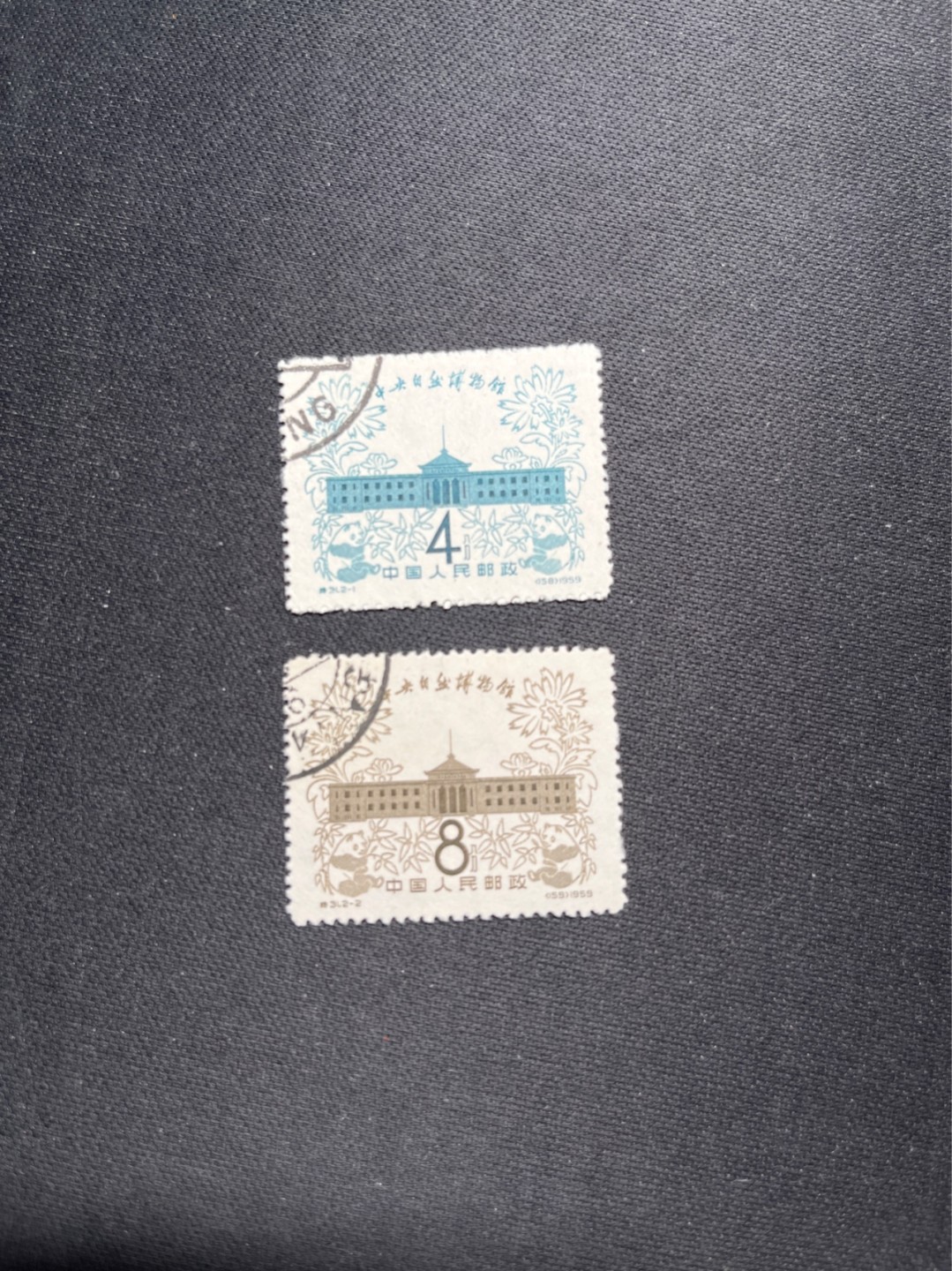 洪涛臻品 精选邮票限时拍卖第六十四期 特31自然博物馆盖销 顺戳 几乎全品
