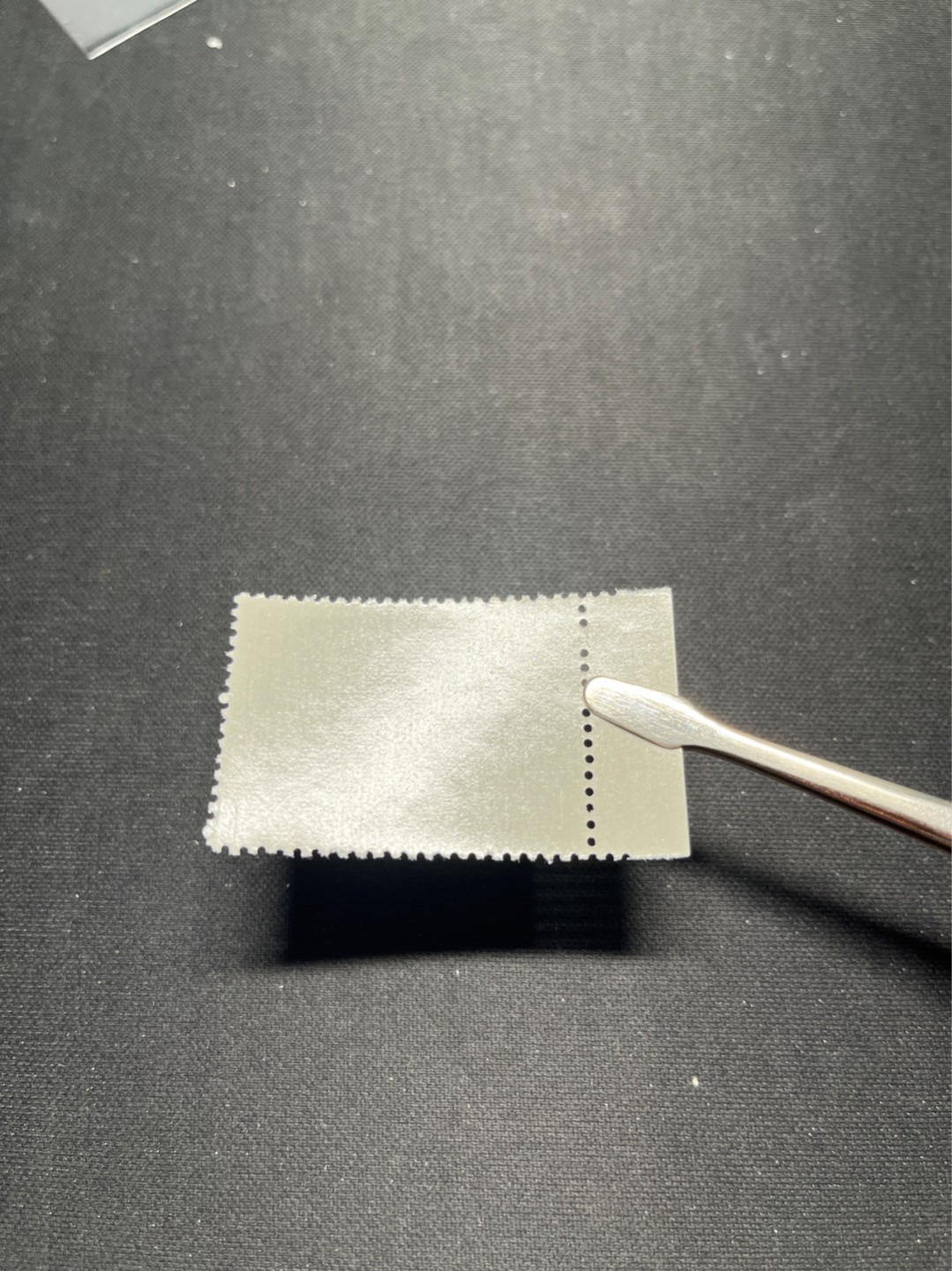 洪涛臻品 精选邮票限时拍卖第六十四期 特73井冈山盖销  8-4  ，白胶润到极致，版撕全品嘎嘎绝，✦完美品相✦解放初的经典票，整版撕开，面艳胶白，票挺洁净，齿孔完美，收藏评级两相宜，且有高附加值边纸。老纪特的版票资源十分稀缺难寻，机会来临时必须抓住。《ASG评级处于初级阶段，趁便宜囤精品版撕票，后市不可估量》