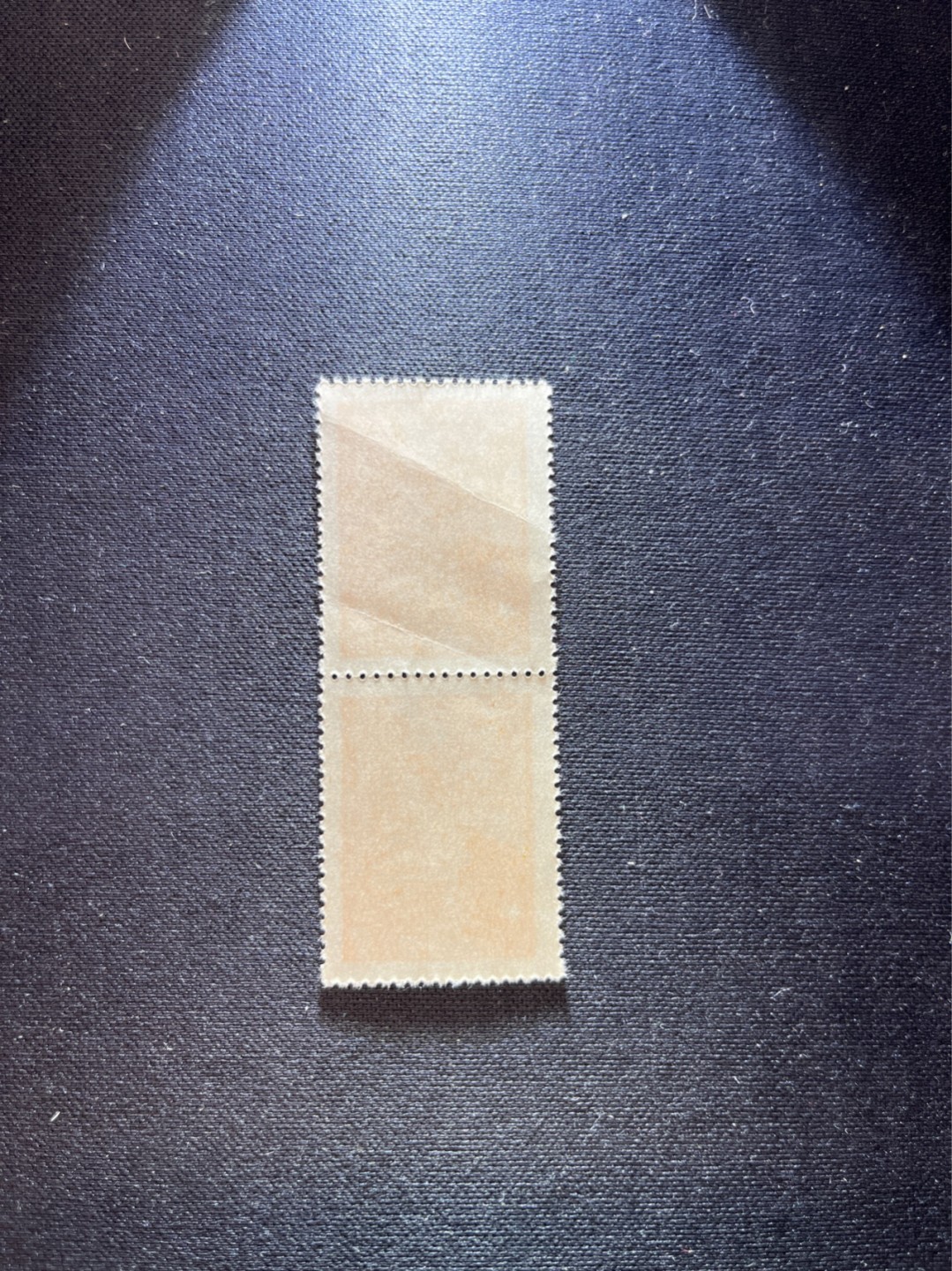 洪涛臻品 精选邮票限时拍卖第六十五期 1949年发行进军图邮票，2连一组，一枚全品，一枚折痕