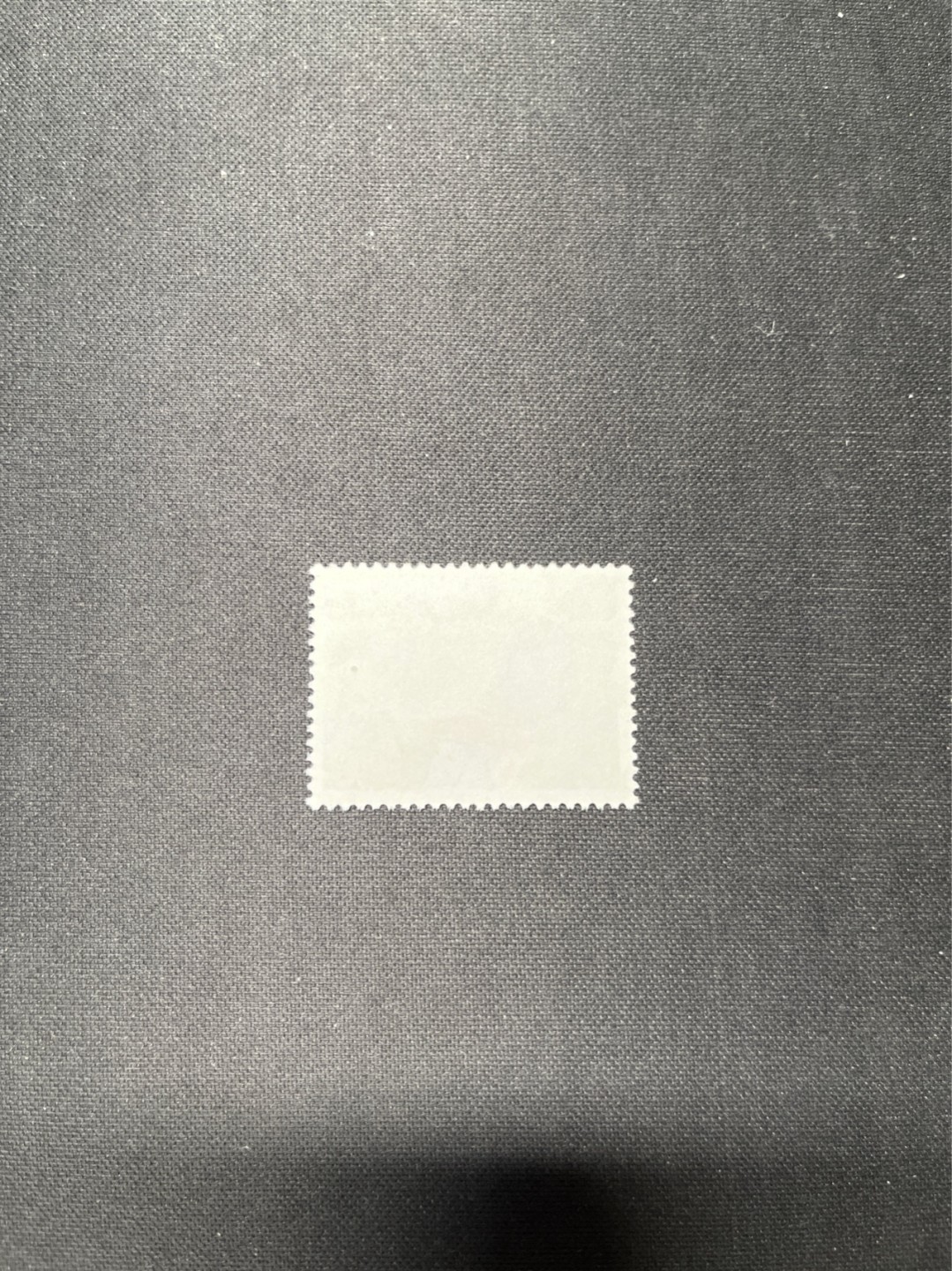 洪涛臻品 精选邮票限时拍卖第六十五期 文17  10分  一枚一组，版撕票，角软折，上品，喜欢不要错过！《ASG评级处于初级阶段，注意建仓便宜的版撕货，未来市场前景不可估量！！！！》