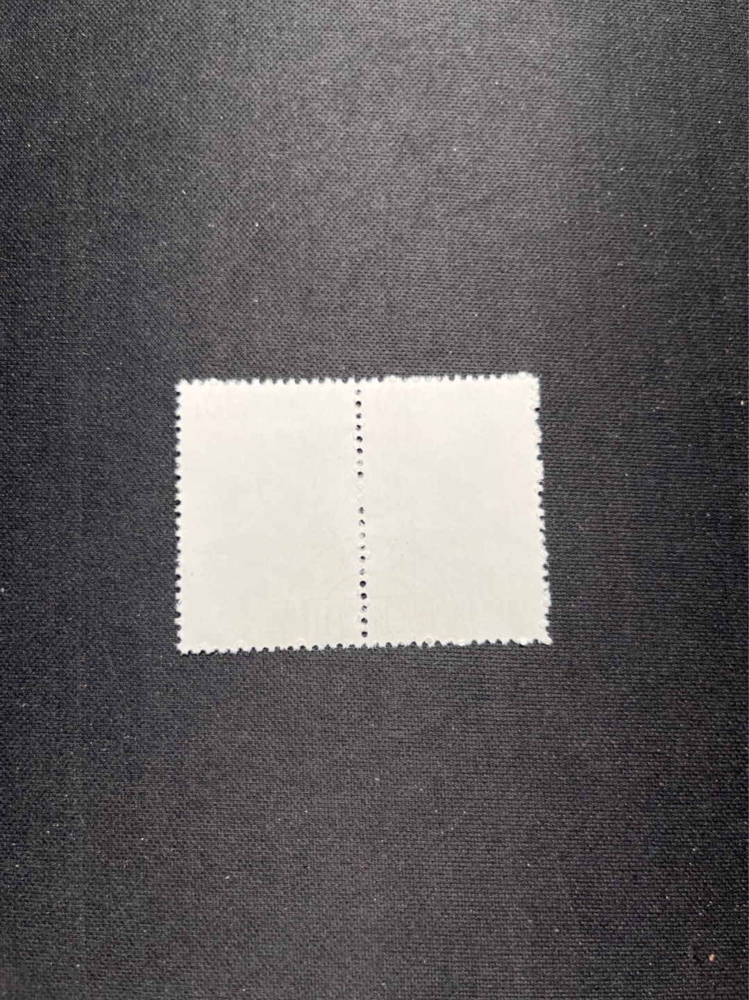 洪涛臻品 精选邮票限时拍卖第六十四期 特56蝴蝶盖销  20-12  全品 2连一组★中间全地名日期戳★版撕全品嘎嘎绝★中心全钢戳，非常漂亮，收藏首选★面艳胶白，六珍之一，非常受欢迎的品种，新票价格高，盖销全品不要错过 