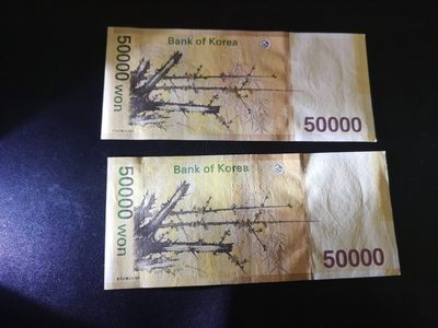 《外钞收藏家》第二百一十二期 - 50万韩元 两张一起 全新 一张角有点盾