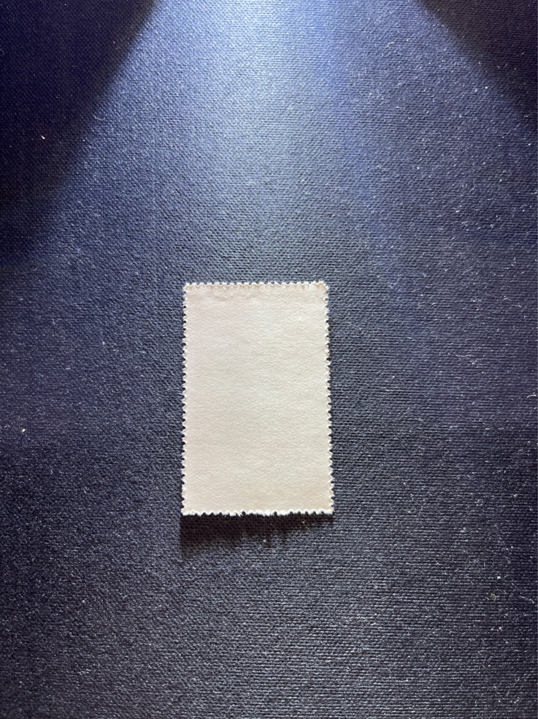 洪涛臻品 精选邮票限时拍卖第六十四期 特54儿童 盖销 12-2   一 枚，版撕全品嘎嘎绝， 面艳背白，生口，非常漂亮，热门票，草纸小票折痕多，全品数量有限，注意捡漏
