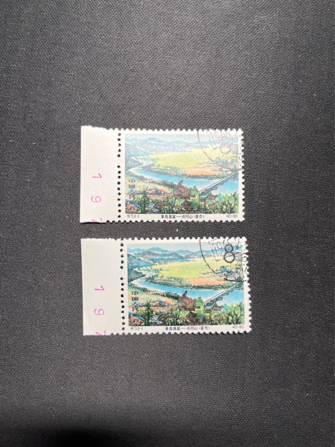 洪涛臻品 精选邮票限时拍卖第六十四期 热门品种，特73井冈山 ✦白胶润到极致✦盖销  8-4 数字边纸2枚★数字相同197★戳大小，位置都相同★非常有意思的一对★经典热门票，版撕全品嘎嘎绝，撕口新，适合收藏，喜欢不要错过，全品可评级