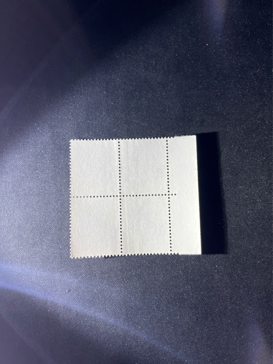 洪涛臻品 精选邮票限时拍卖第六十六期 T124龙四方连一组  上品，软折等