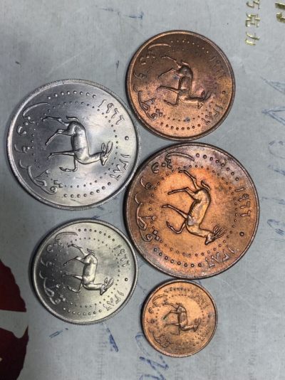 卡塔尔和迪拜套 - 卡塔尔和迪拜套