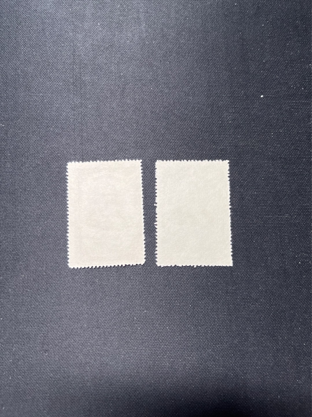 洪涛臻品 精选邮票限时拍卖第六十六期 纪22马克思新全  几乎全品  看不出任何瑕疵