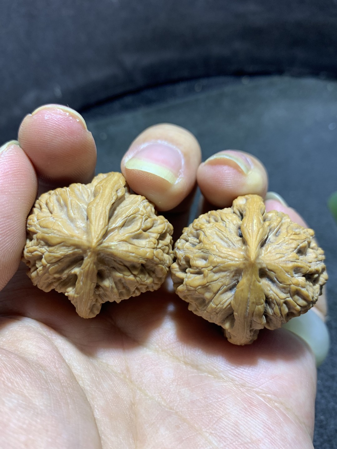 精美高端野生小众僧帽狮子头文玩麻核桃一对，