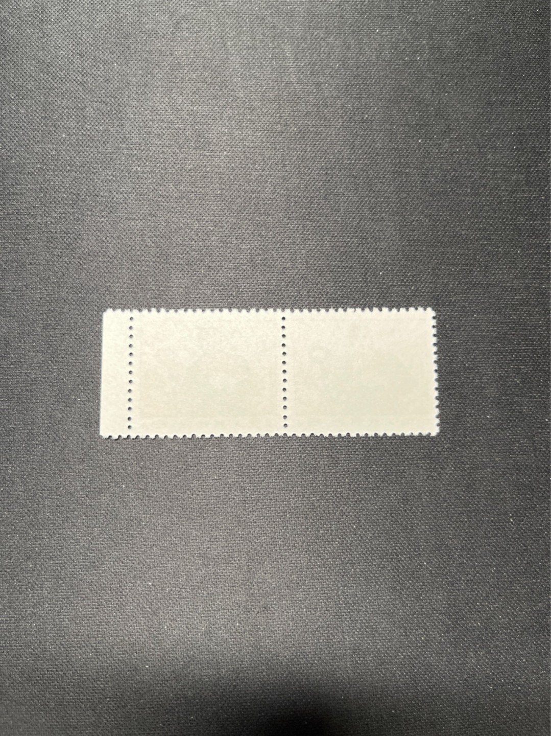 洪涛臻品 精选邮票限时拍卖第六十六期 普无号，工人2连版撕全品嘎嘎绝