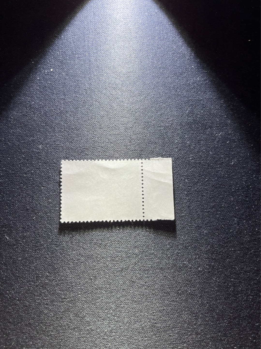 洪涛臻品 精选邮票限时拍卖第六十六期 文17  10分  一枚一组，边纸，版撕票，软折，上品，喜欢不要错过！《ASG评级处于初级阶段，注意建仓便宜的版撕货，未来市场前景不可估量！！！！》