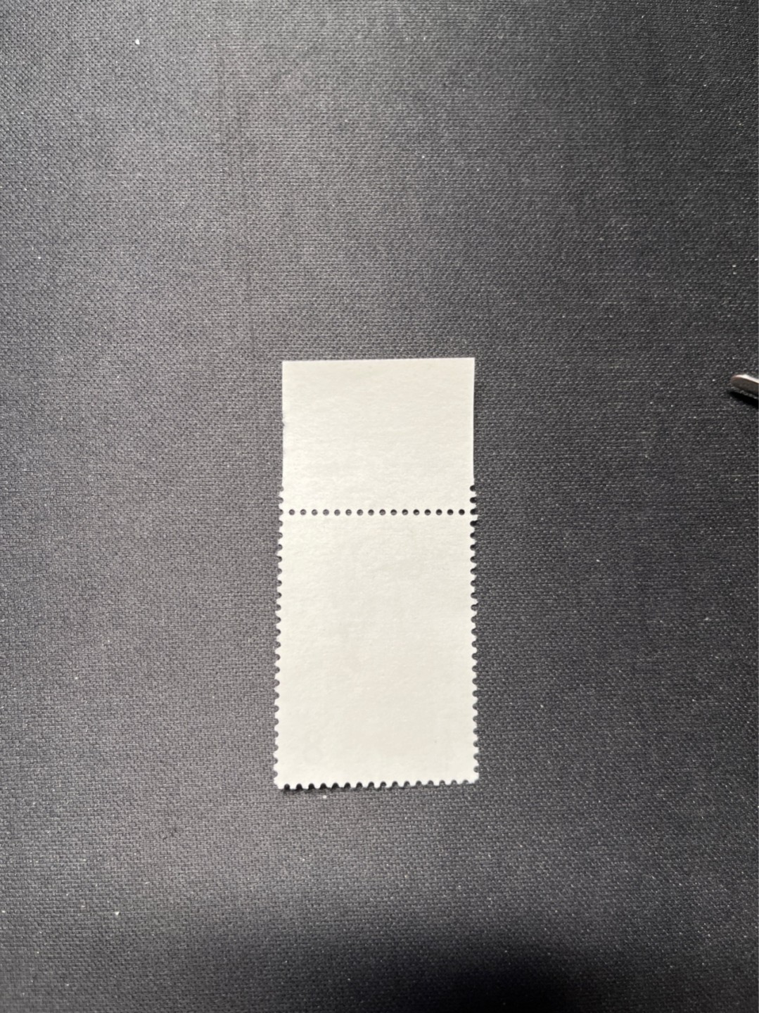 洪涛臻品 精选邮票限时拍卖第六十六期 T28奔马10-3二胶 上厂铭➕印刷日期数字边。整版只有一个印刷日期。