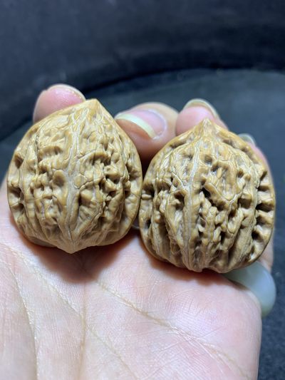 精美高端野生小众僧帽狮子头文玩麻核桃一对， - 精美高端野生小众僧帽狮子头文玩麻核桃一对，