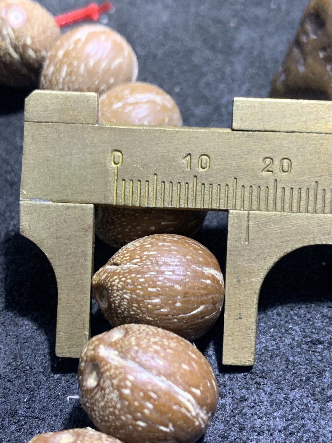 精美印尼老树紫金鼠闷墩前鼠后猫菩提手串一条！