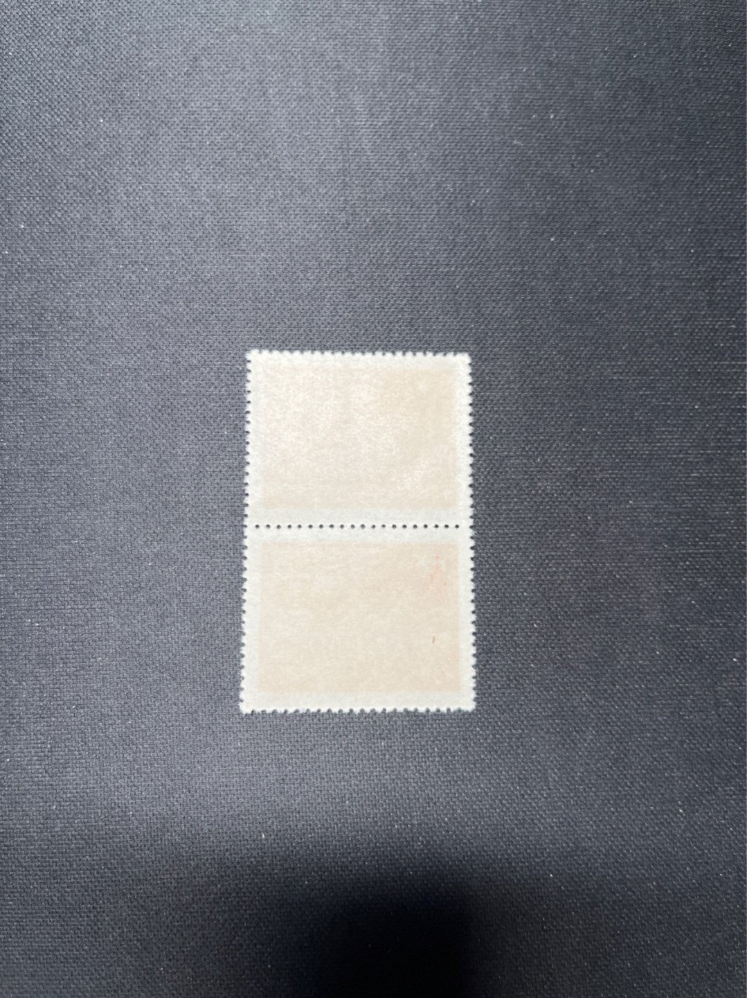 洪涛臻品 精选邮票限时拍卖第六十六期 1949年进军图2连，上品，进军图纸张薄，多数都有折痕。版撕票，边有折，会处理的这都不是问题，注意捡漏
