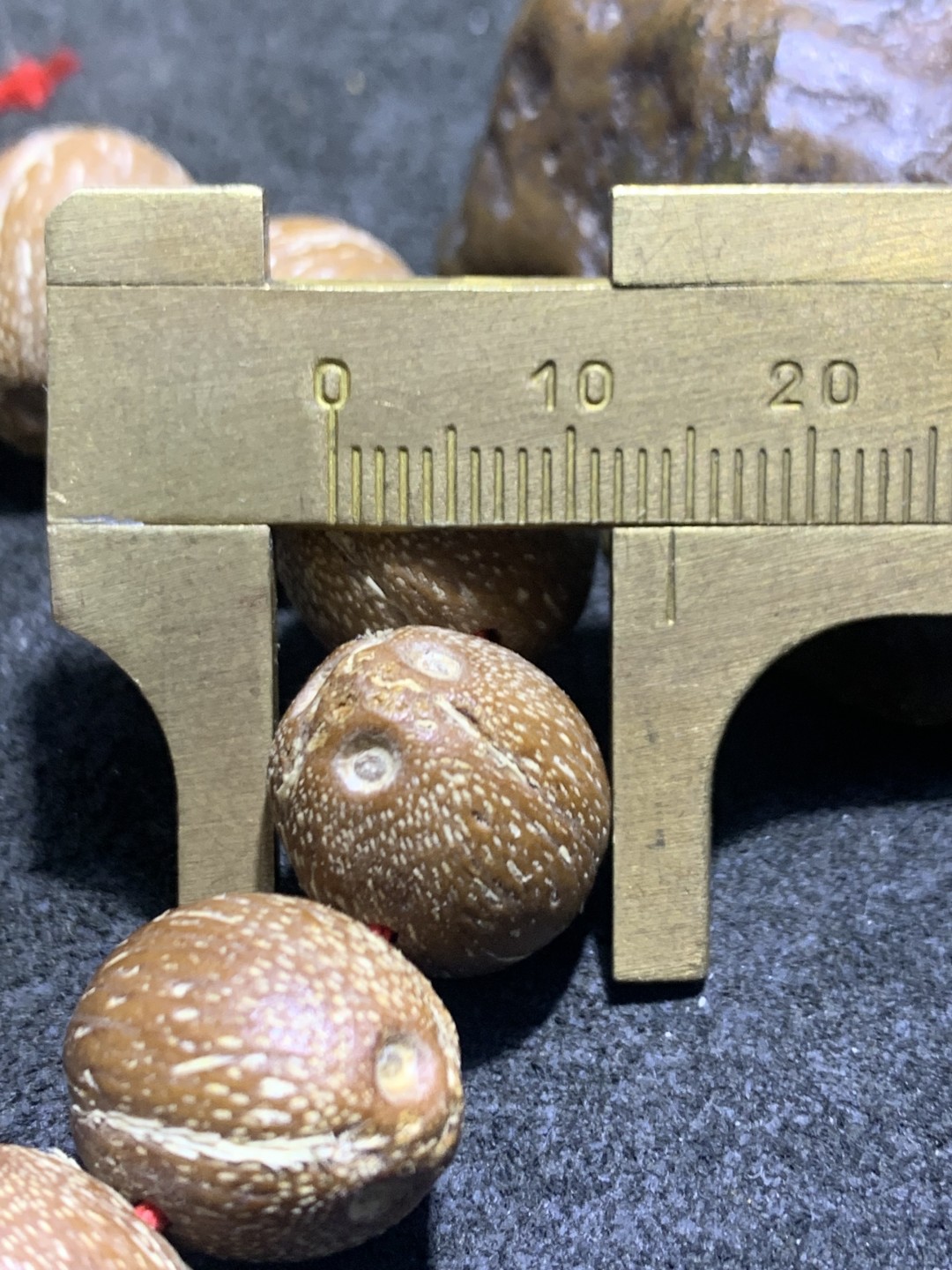 精美印尼老树紫金鼠闷墩前鼠后猫菩提手串一条！