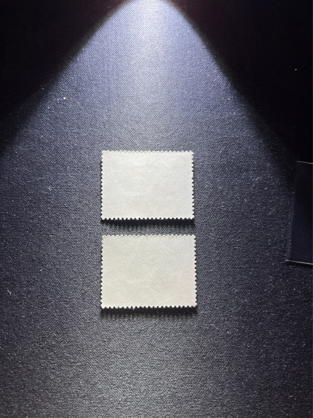 洪涛臻品 精选邮票限时拍卖第六十六期 文17  10分  2枚一组，版撕票，几乎全品，个别齿微弱，喜欢不要错过！《ASG评级处于初级阶段，注意建仓便宜的版撕货，未来市场前景不可估量！！！！》