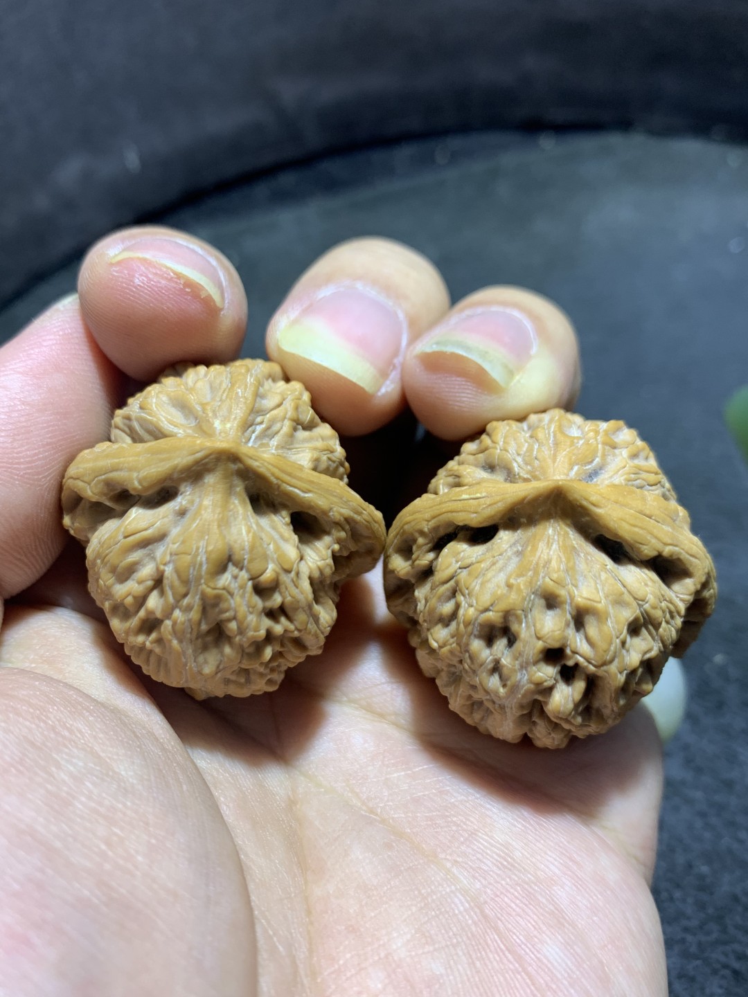 精美高端野生小众僧帽狮子头文玩麻核桃一对，