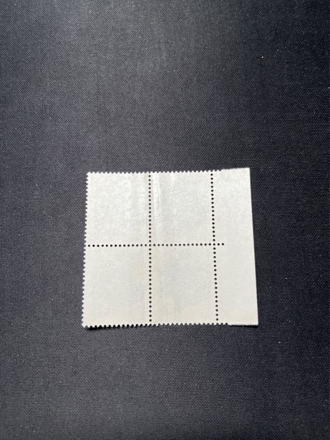 洪涛臻品 精选邮票限时拍卖第六十六期 T124龙四方连一组  上品，软折等