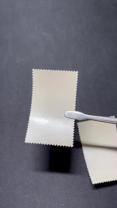 洪涛臻品 精选邮票限时拍卖第六十六期 纪95十月革命盖销全品，背面轻微指纹，见视频★这个票全品非常少。某网上天天拍卖也很难见到全品。北京市场上更是无货可寻，20分总筋是钢戳，全品可评级，包OG。老纪特精品票，喜欢的老板不要错过，末图价格做参考