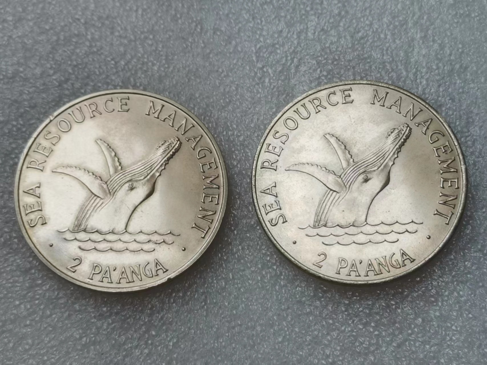 瓶子🏺第63期拍卖会 汤加1979-1980年FAO世界粮食日超大纪念币2枚套