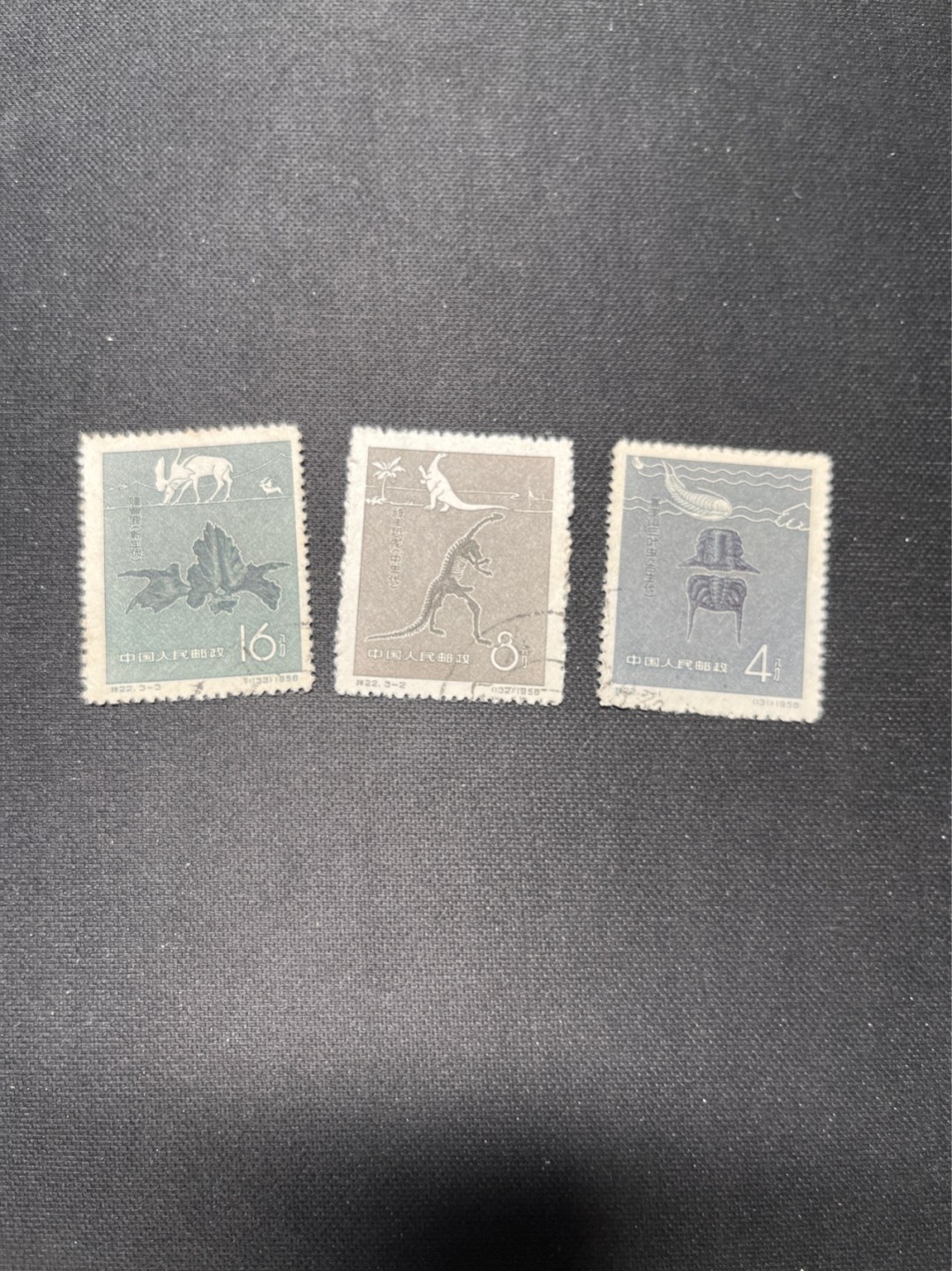 洪涛臻品 精选邮票限时拍卖第六十六期 特22盖销全 上品，微黄