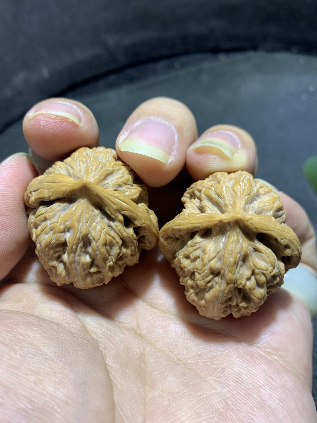 精美高端野生小众僧帽狮子头文玩麻核桃一对，