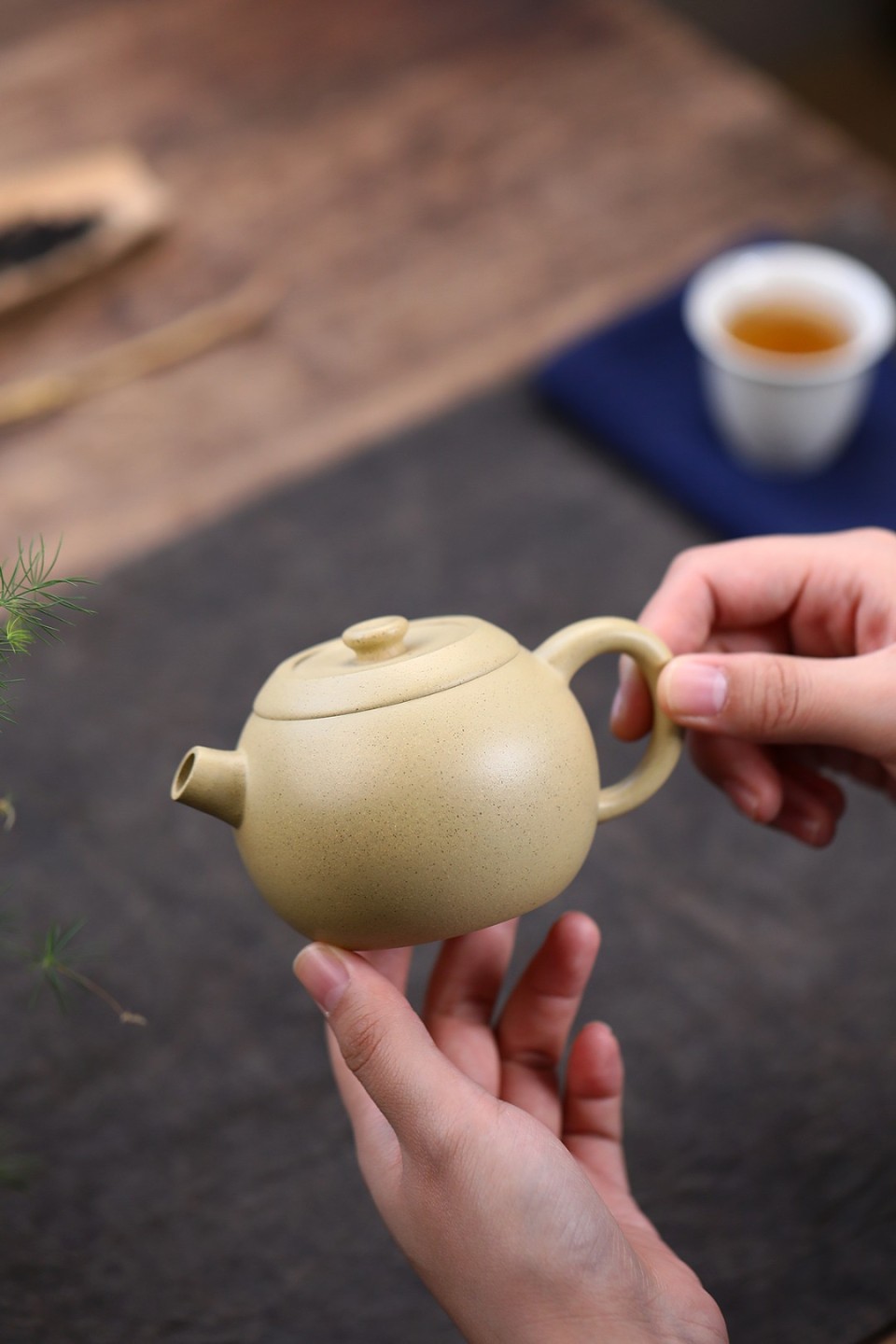 正宗宜兴紫砂壶专拍场 圆珠
